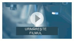Voir la vidéo